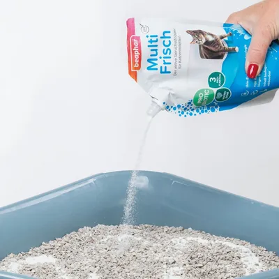 Beaphar Multi Frisch, confezione con immagine di gatto e testo visibile, viene versato su lettiera per gatti. Etichette: Pro Biotic, 3 volte più efficace.