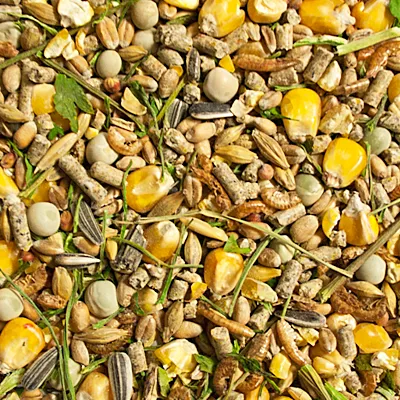 Nahaufnahme von gemischtem Vogelfutter mit Mais, Sonnenblumenkernen, Erbsen, Getreide und Kräutern.