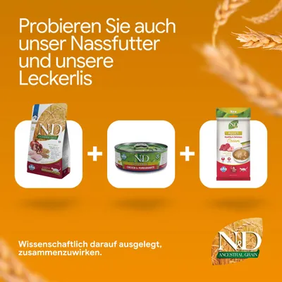 Probieren Sie auch unser Nassfutter und unsere Leckerlis. Wissenschaftlich darauf ausgelegt, zusammenzuwirken. Drei N&D Produkte abgebildet. Probieren Sie auch unser Nassfutter und unsere Leckerlis. Wissenschaftlich darauf ausgelegt, zusammenzuwirken. Drei N&D Produkte abgebildet.