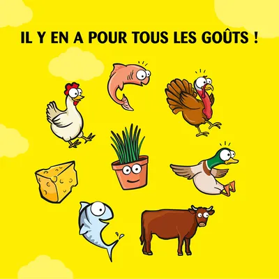 Texte : IL Y EN A POUR TOUS LES GOÛTS ! Illustrations de poulet, saumon, dinde, fromage, plante, canard, poisson et vache sur fond jaune.