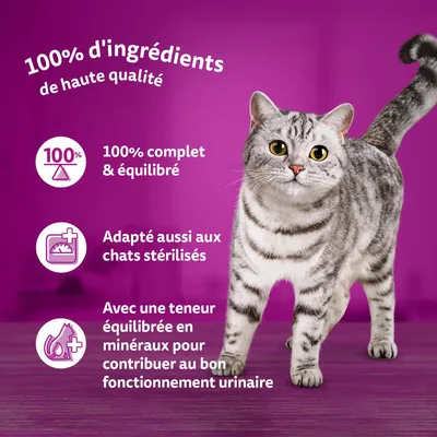 100 % d’ingrédients de haute qualité, 100 % complet & équilibré, adapté aussi aux chats stérilisés, teneur équilibrée en minéraux pour le fonctionnement urinaire