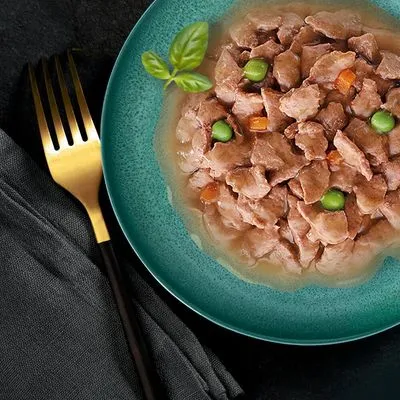 Bord met natvoer in stukjes, zichtbaar met erwten en wortelblokjes in gelei, geserveerd op een groen bord naast een gouden vork.