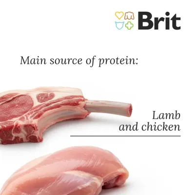 Brit Paté & Meat Adult 6 x 800 g