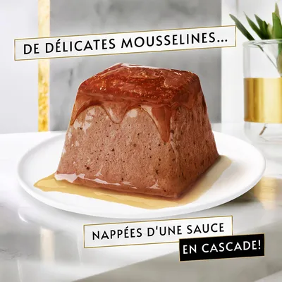 Bloc de mousseline sur assiette, nappé d’une sauce. Texte visible : « De délicates mousselines… nappées d’une sauce en cascade ! »