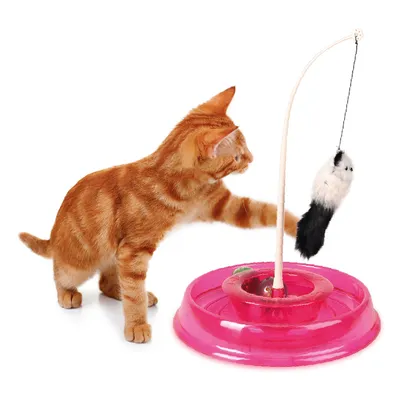 Spielzeug für Katzen: Roter Sockel mit Angel und Plüschanhänger. Katze interagiert mit dem Anhänger.