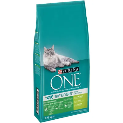 Purina ONE Bifensis Dual Defence Indoor Formula dry cat food, 9.75 kg bag, visible text includes 'Visible Health for Today and Tomorrow' and product details in English and French.