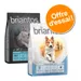 Offre d'essai : croquettes Briantos 1 kg pour chien