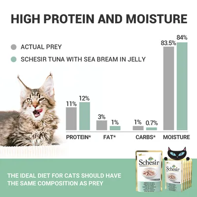 Γραφική σύγκριση θρεπτικών συστατικών: Schesir Tuna with Sea Bream in Jelly έναντι actual prey. Πρωτεΐνη 12%, λίπος 1%, υδατάνθρακες 0,7%, υγρασία 84%. Συσκευασίες Schesir ορατές.