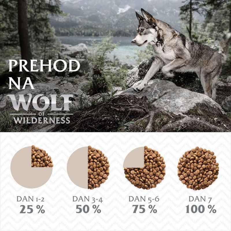Wolf of Wilderness "Ruby Midnight" govedina in zajec - brez žit