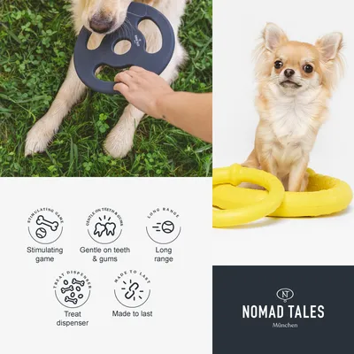 Nomad Tales kutyajáték, két színben, kutya használat közben és sárga játék mellett ülve. Piktogramok: stimuláló játék, kíméletes fogakhoz, hosszú dobás, jutalomfalat-adagoló, tartós.