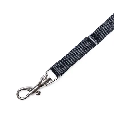 Kuljetuspaketti: kantolaukku + peitto + valjaat