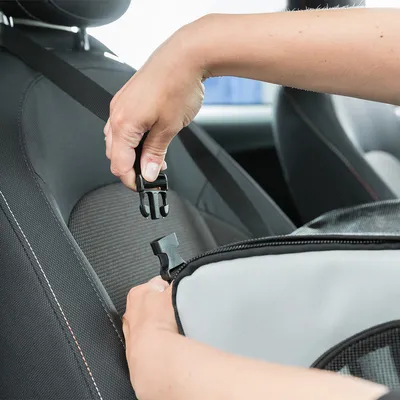 Hand attaches safety belt clip to a carrier bag in the car. Instructions for secure attachment of pet transport accessories.