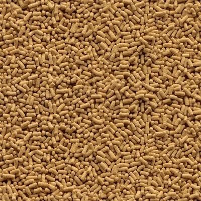 Crocchette secche di forma cilindrica piccola, vista ravvicinata del prodotto sfuso senza confezione o marchio visibile.