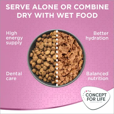Ciotola con metà crocchette e metà cibo umido, testo in inglese: serve alone or combine dry with wet food, high energy supply, dental care, better hydration, balanced nutrition. Concept for Life.