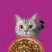 Whiskas 1+ oksekød