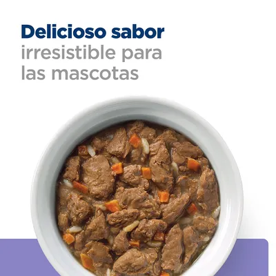 Delicioso sabor irresistible para las mascotas. Plato blanco con comida húmeda de trozos marrones y zanahorias visibles.