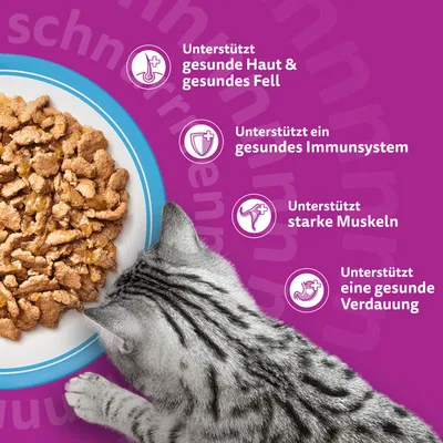 Jumbopack Whiskas 1+ Adult Frischebeutel 96 x 85 g Jumbopack Whiskas 1+ Adult Frischebeutel 96 x 85 g