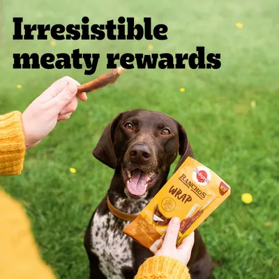 Pedigree Ranchos Wrap dog treat pack held in front of a brown dog outdoors, with visible text: Irresistible meaty rewards. Person holding treat stick and packaging.