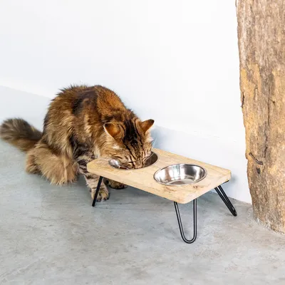 Gamelle double Designed by Lotte Linga pour chat