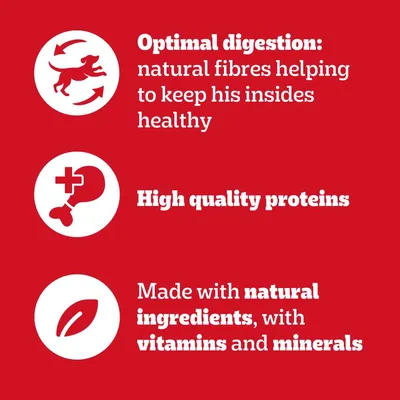 Testo in inglese: Optimal digestion: natural fibres helping to keep his insides healthy. High quality proteins. Made with natural ingredients, with vitamins and minerals.