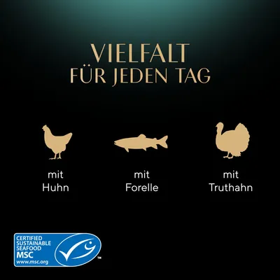 Megapack Sheba Varietäten Schälchen 48 x 85 g