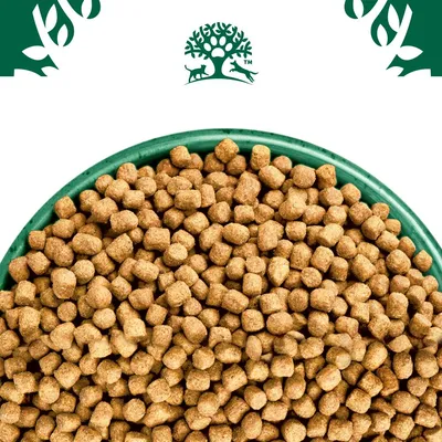 Bowl filled with dry pet food kibble, shown from above. Green bowl and tree-shaped emblem with animal silhouettes visible at the top.