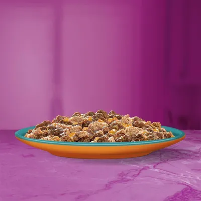 Bowl filled with chunks of wet pet food in gravy, displayed on a table against a purple background.