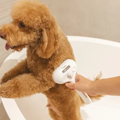 Dog being groomed with a white coat care brush. Brush shows brand 'Tesora' and has an ergonomic handle.