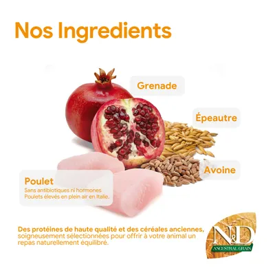 Ingrédients : grenade, épeautre, avoine, poulet sans antibiotiques ni hormones, poulets élevés en plein air en Italie. Protéines de haute qualité et anciennes variétés de céréales pour une alimentation animale équilibrée. Ingrédients : grenade, épeautre, avoine, poulet sans antibiotiques ni hormones, poulets élevés en plein air en Italie. Protéines de haute qualité et anciennes variétés de céréales pour une alimentation animale équilibrée.