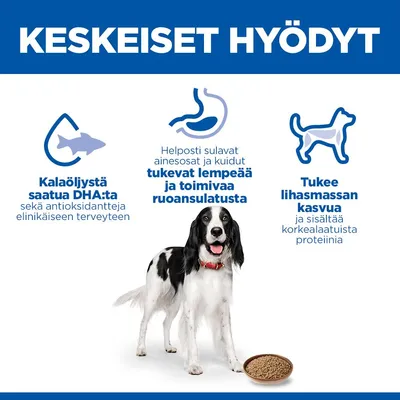 Hill's Science Plan Adult 6 x 370 g