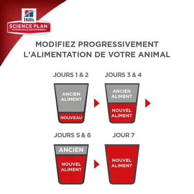 Schéma Hill’s Science Plan : transition alimentaire en 7 jours, mélange progressif d’ancien et de nouvel aliment, instructions visibles pour chaque étape.