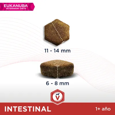 EUKANUBA Veterinary Diets INTESINAL 1+ año. Croqueta hexagonal: 11–14 mm de diámetro, 6–8 mm de grosor. Imagen comparativa del tamaño y forma del alimento.