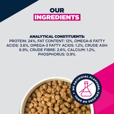 Eukanuba Special Care Mono-Protein Adult med laks