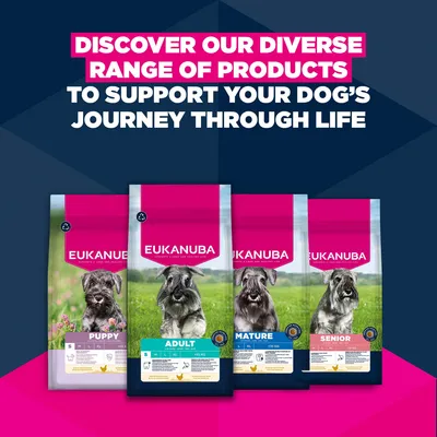 Eukanuba Premium Nutrition Mature Small Breed kana