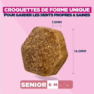 Eukanuba Premium Nutrition Senior Small et Medium Breed Agneau et Riz pour chien