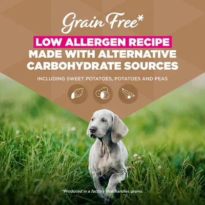 Eukanuba Grain Free Puppy Large & Giant Breed tengeri hal