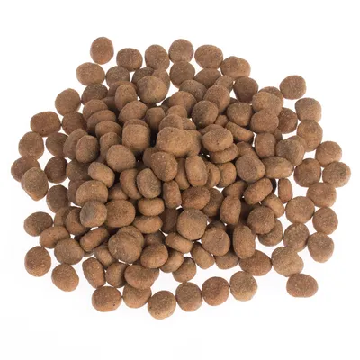 Round brown dry kibble pieces shown in a pile on a white background.