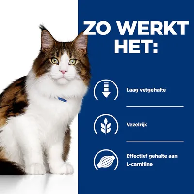 Zo werkt het: Laag vetgehalte, vezelrijk, effectief gehalte aan L-carnitine. Afbeelding van een kat naast deze producteigenschappen.