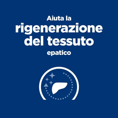 Aiuta la rigenerazione del tessuto epatico