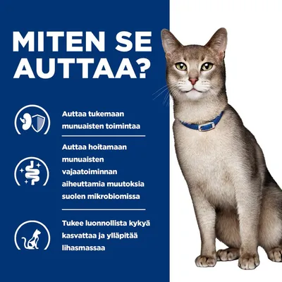 MITEN SE AUTTAA? Auttaa tukemaan munuaisten toimintaa. Auttaa hoitamaan munuaisten vajaatoiminnan aiheuttamia muutoksia suolen mikrobiomissa. Tukee lihasmassan kasvua ja ylläpitoa.