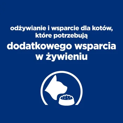 odżywianie i wsparcie dla kotów, które potrzebują dodatkowego wsparcia w żywieniu