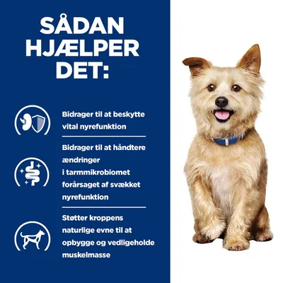 SÅDAN HJÆLPER DET: Bidrager til at beskytte vital nyrefunktion, håndtere ændringer i tarmmikrobiomet ved svækket nyrefunktion og støtte opbygning af muskelmasse.