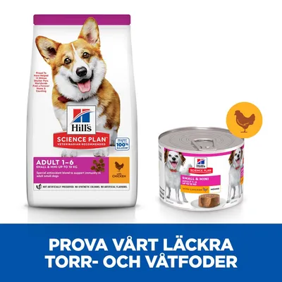 Hill's Science Plan Adult 1–6 Small & Mini torrfoder och våtfoder med kyckling för hund, synlig text: 'PROVA VÅRT LÄCKRA TORR- OCH VÅTFODER'.