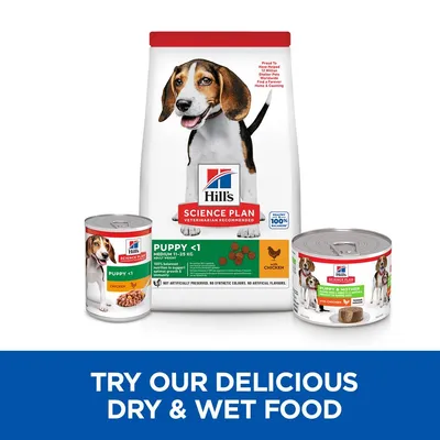 Hill's Science Plan Puppy <1 suha hrana za pse srednje veličine, dvije konzerve mokre hrane s piletinom. Tekst na engleskom: TRY OUR DELICIOUS DRY & WET FOOD.