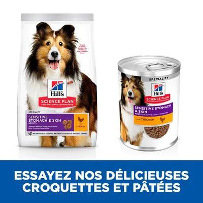 Hill's Science Plan Sensitive Stomach & Skin Adult 1+ au poulet, croquettes et pâtée pour chien. Texte : Essayez nos délicieuses croquettes et pâtées.