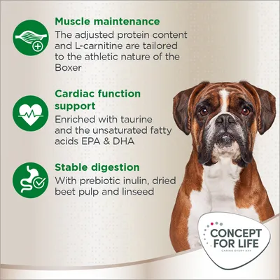 Key features: muscle maintenance with adjusted protein and L-carnitine, cardiac function support with taurine and EPA & DHA, stable digestion with inulin, beet pulp and linseed.