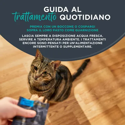 Encore Cat Filetto di Sgombro Snack per gatto