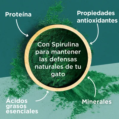 Con Spirulina para mantener las defensas naturales de tu gato. Proteína, propiedades antioxidantes, ácidos grasos esenciales, minerales.