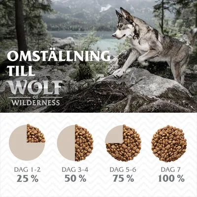 Text: Omställning till Wolf of Wilderness. Utfodringsschema med dag 1–2: 25 %, dag 3–4: 50 %, dag 5–6: 75 %, dag 7: 100 % av fodret visas med diagram.