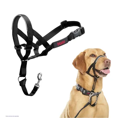 Black headcollar with adjustable straps and clip, shown separately and fitted on a dog’s head to demonstrate correct use. Collar and lead not included.